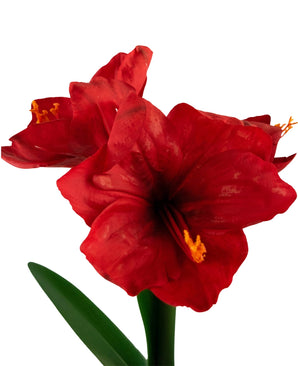 Fleur artificielle Amaryllis rouge 48 cm