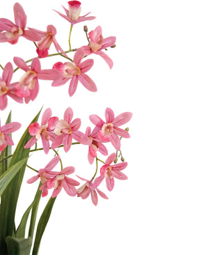 Plante artificielle Mini Cymbidium Real Touch 58 cm rose