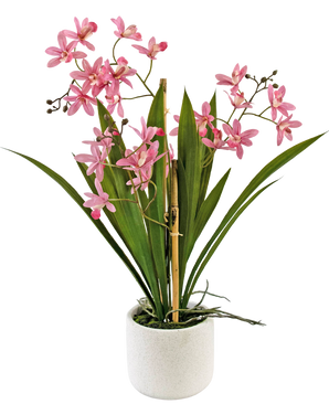 Plante artificielle Mini Cymbidium Real Touch 45 cm rose