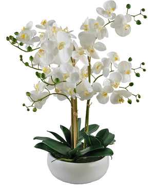 Orchidée artificielle Real Touch 50 cm blanche en pot blanc