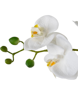 Orchidée artificielle Real Touch 50 cm blanche en pot blanc