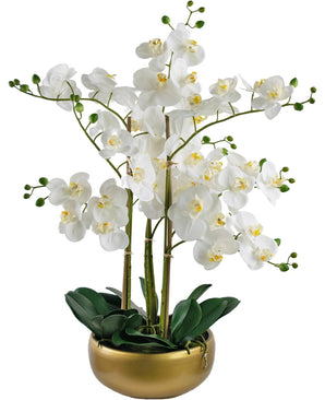 Orchidée artificielle Real Touch 50 cm en pot doré