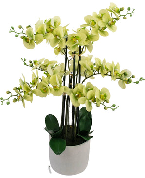 Orchidée artificielle Real Touch 81 cm verte