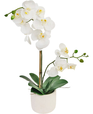 Orchidée artificielle Real Touch 30 cm blanche