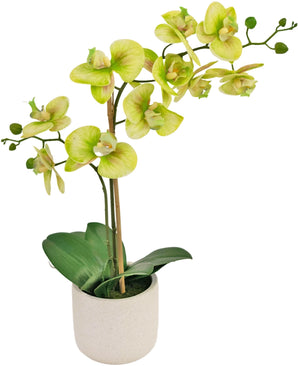 Orchidée artificielle Real Touch 30 cm verte