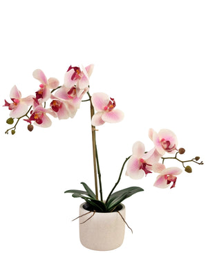 Orchidée artificielle Real Touch 30 cm rose/blanc