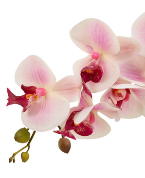 Orchidée artificielle Real Touch 30 cm rose/blanc