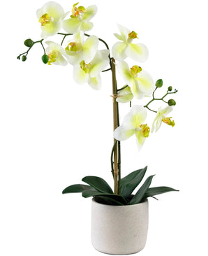 Orchidée artificielle Real Touch 30 cm vert/blanc