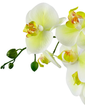 Orchidée artificielle Real Touch 30 cm vert/blanc