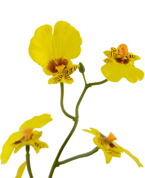 Oncidium artificiel Real Touch 48 cm jaune