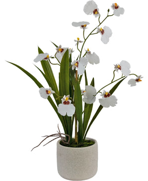 Oncidium artificiel Real Touch 48 cm blanc