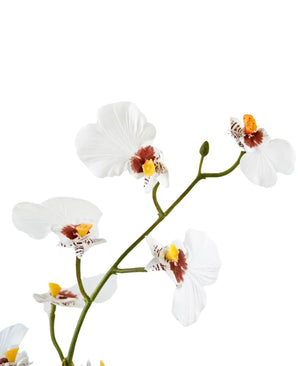 Oncidium artificiel Real Touch 48 cm blanc