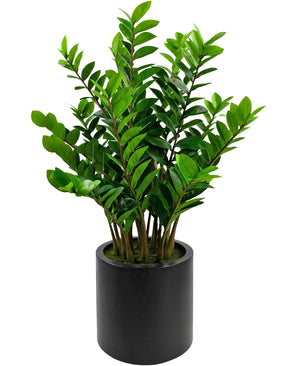 Plante artificielle Zamioculcas prête à l'emploi en pot noir 120 cm