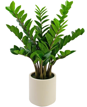 Plante artificielle Zamioculcas prête à l'emploi en pot beige 80 cm