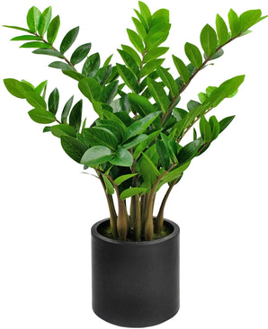 Plante artificielle Zamioculcas prête à l'emploi en pot noir 80 cm