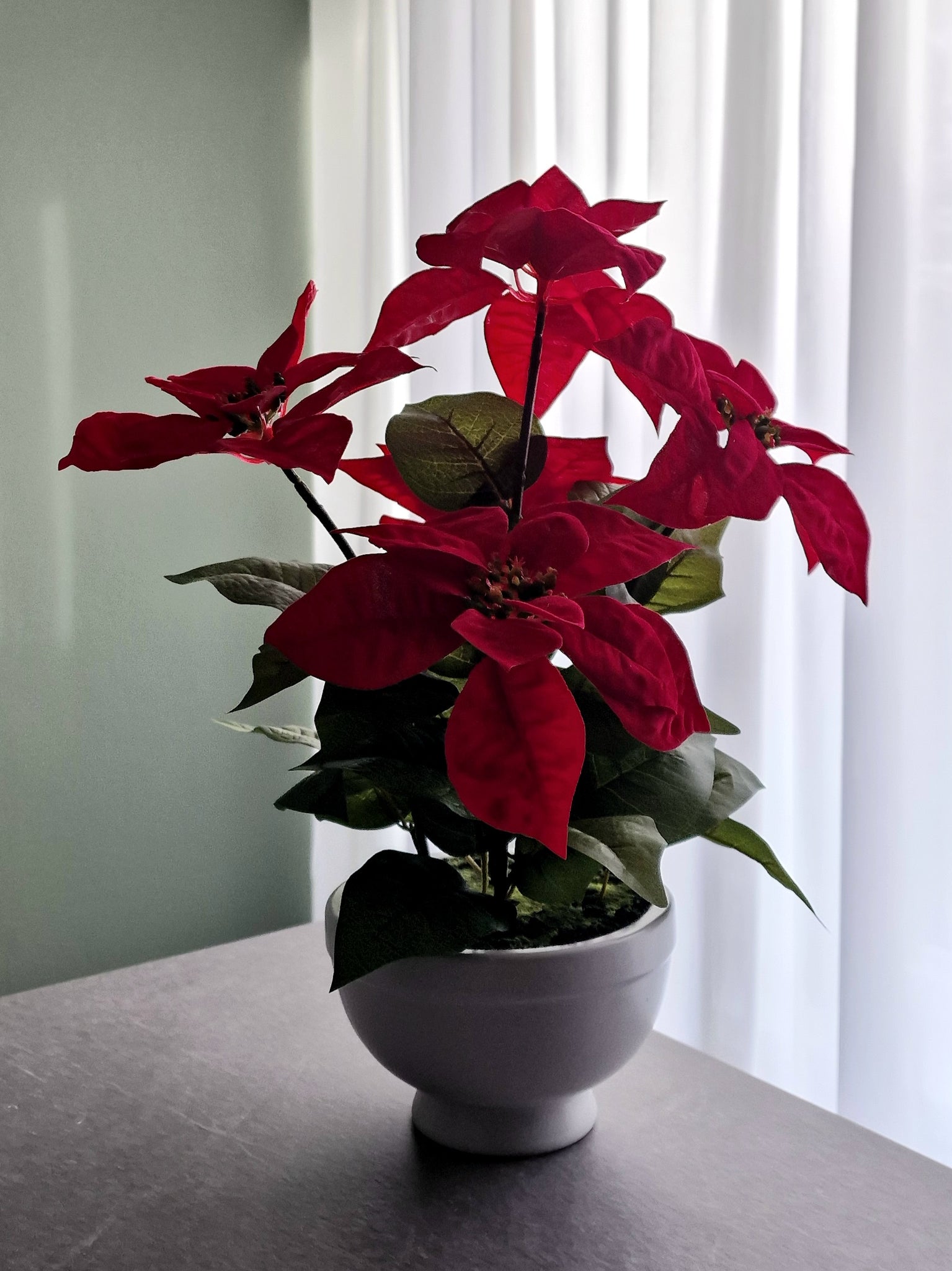 Plante artificielle étoile de Noël 44 cm rouge