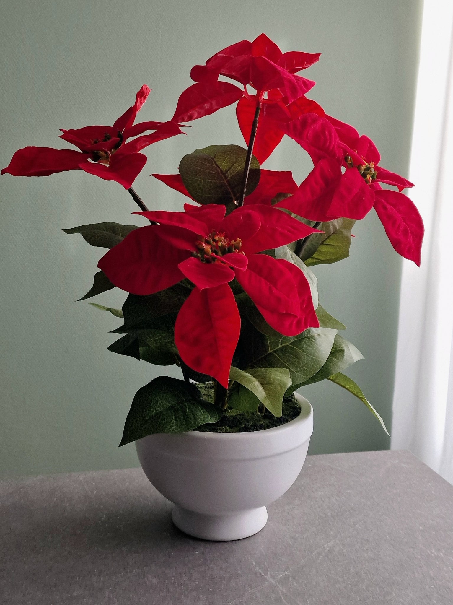 Plante artificielle étoile de Noël 44 cm rouge