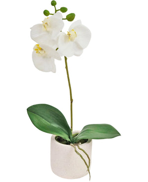 Orchidée artificielle Real Touch 30 cm blanche