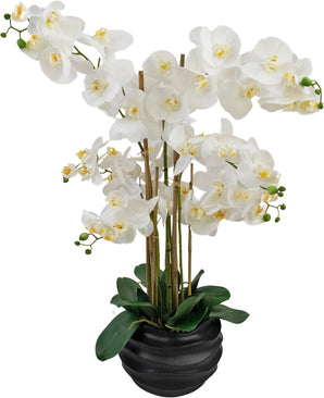 Orchidée artificielle Real Touch 85 cm blanche