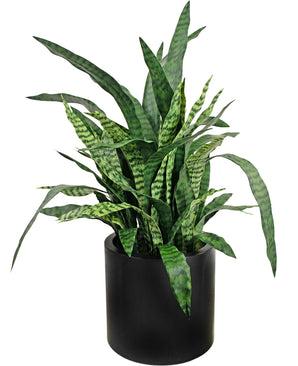 Sansevieria Zylanica artificielle 43 cm prête à l'emploi en pot noir