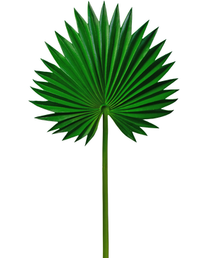 Kunstblad Washingtonia 73cm