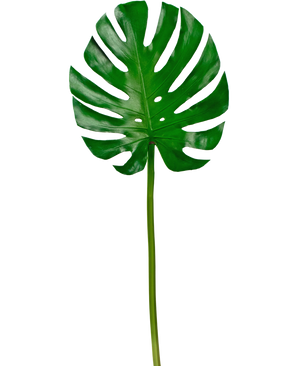 Kunstblad Monstera 88cm