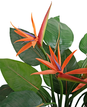 Plante artificielle Strelitzia 120 cm