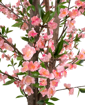 Plante artificielle Fleur de cerisier 180 cm rose