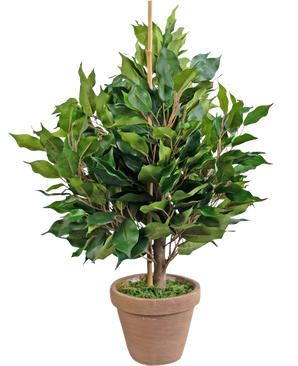 Kunstplant Ficus 60 cm in pot