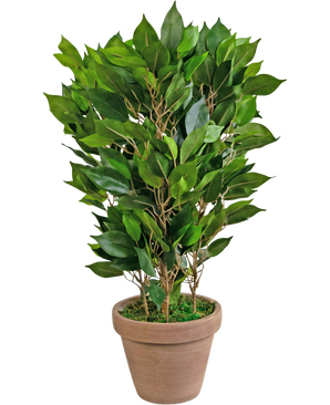 Kunstplant Mini Ficus 45 cm in pot