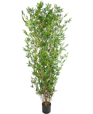 Plante artificielle Bambou Deluxe 210 cm