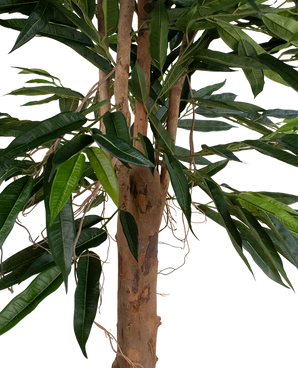 Plante artificielle Longfolia 180 cm