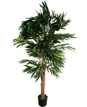 Plante artificielle Longfolia 180 cm