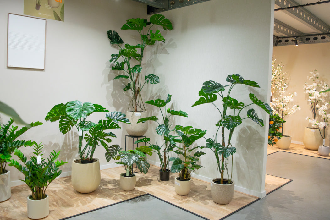 Onze showroom in Rotterdam
