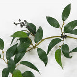 Een Kunst Smilax Slinger van 180 cm met lange, smalle groene bladeren en kleine trossen donkere, ronde bessen, afgebeeld tegen een witte achtergrond.