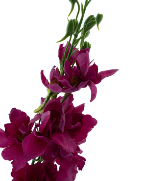 Kunstbloem Ridderspoor Real Touch roze 90 cm