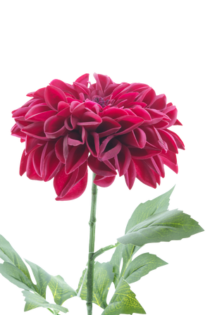 Kunstbloem Dahlia Real Touch Paars 72 cm