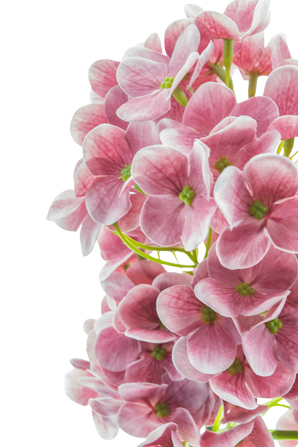 Kunstbloem Sneeuwbal Real Touch Roze 58 cm