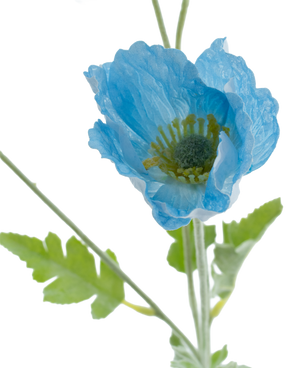 Kunstbloem Poppy Real Touch Blauw 60 cm