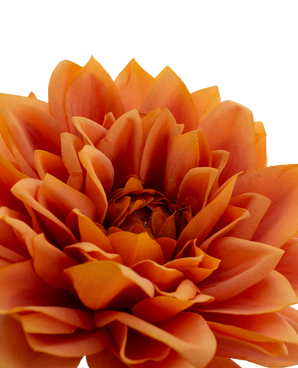 Kunstbloem Dahlia Real Touch oranje 54 cm