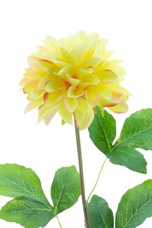Kunstbloem Dahlia Real Touch Champagne 73 cm