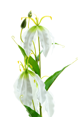 Kunstbloem Gloriosa Real Touch Wit 75 cm