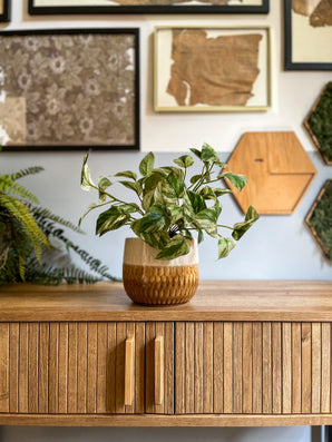 Kunstplant Gouden Wijnstok in Pot 25cm