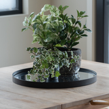 Op een lichte houten tafel bij het raam staat een zwart dienblad met daarop drie Kunst Klimop Deluxe groen-wit in potten van 22 cm UV; twee houten stoelen zijn gedeeltelijk zichtbaar.