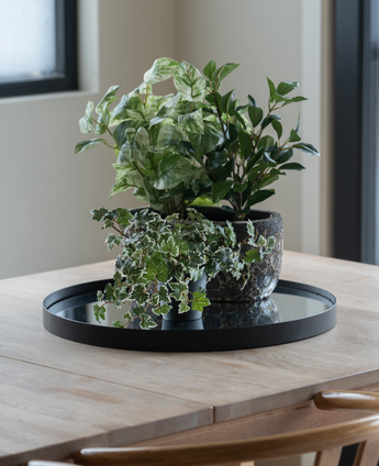 Op een lichte houten tafel bij het raam staat een zwart dienblad met daarop drie Kunst Klimop Deluxe groen-wit in potten van 22 cm UV; twee houten stoelen zijn gedeeltelijk zichtbaar.