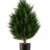 De Kunstplant Conifeer Deluxe UV 60 cm van Easyplants is een compacte, bossige kunstplant met groenblijvend blad en rijkgroen blad, gepresenteerd in een zwarte pot tegen een witte achtergrond. Dit maakt hem tot een uitstekende keuze onder de kunstplanten voor buiten en zorgt moeiteloos voor levendig groen in elke omgeving.