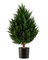 De Kunstplant Conifeer Deluxe UV 60 cm van Easyplants is een compacte, bossige kunstplant met groenblijvend blad en rijkgroen blad, gepresenteerd in een zwarte pot tegen een witte achtergrond. Dit maakt hem tot een uitstekende keuze onder de kunstplanten voor buiten en zorgt moeiteloos voor levendig groen in elke omgeving.