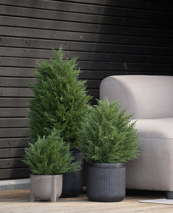De Kunstplant Conifeer UV 40 cm kunstconiferen staan op een houten terras naast een lichtgrijze buitenbank, tegen een moderne muur met donkere houten panelen.