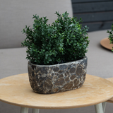 De Kunstplant Buxus Romeinse stijl UV 36cm, een kleine groenbladige kunstplant in een stenen plantenbak met structuur, staat op een lichthouten ronde tafel met een beige bank en donkere houten muur op de achtergrond.