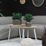 Twee kleine ronde houten tafels met Kunstplant Buxus Romeinse stijl UV 36cm staan op een gedessineerd vloerkleed voor een beige sofa. Een ronde spiegel en decoratieve waaiers hangen aan een donkerhouten muur erachter, met een pluizige beige poef op het vloerkleed.